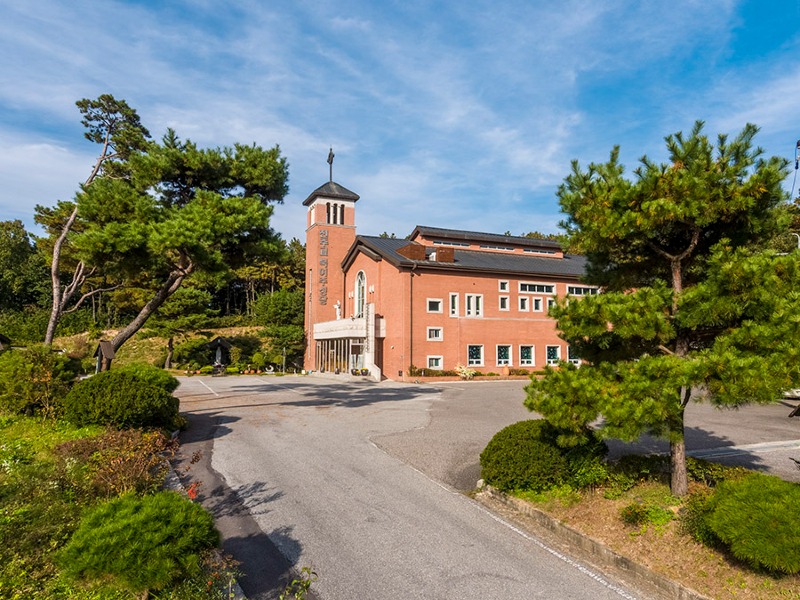 DJI_0781.jpg