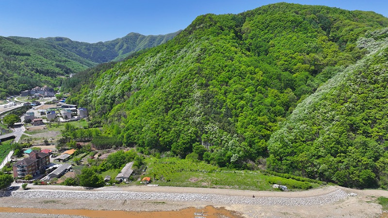 DJI_20250430114221_0068_D.JPG